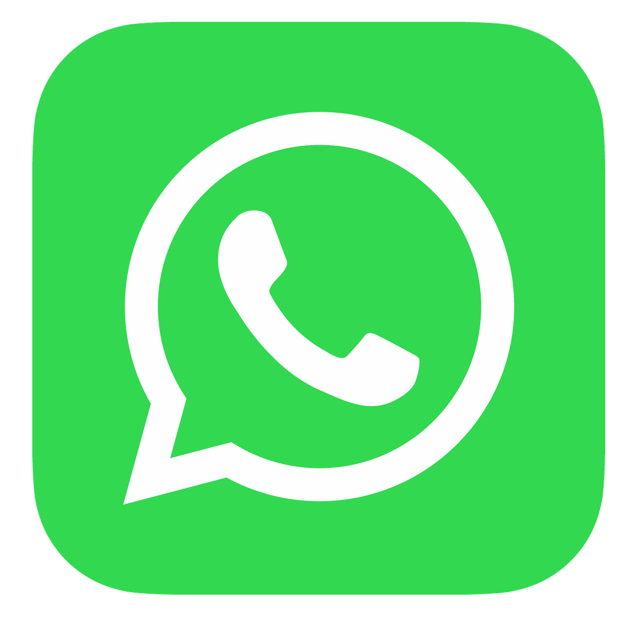 Whatsapp Fermento